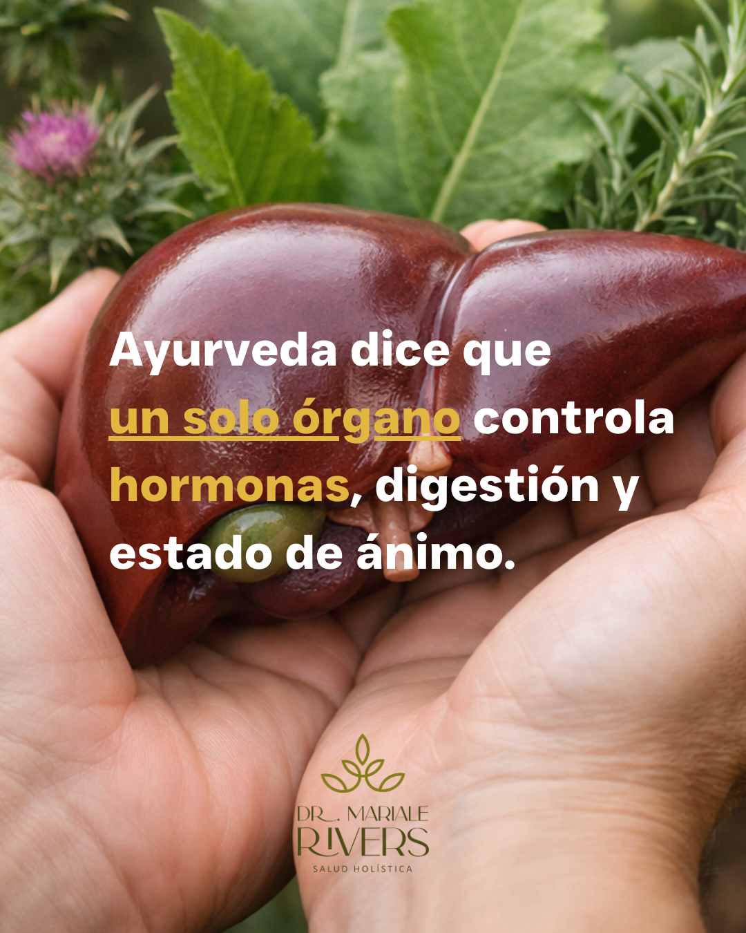 Detox Hígado Ayurvédico con Plantas Medicinales ·. Hecho en casa + Guía Online · 7 Días